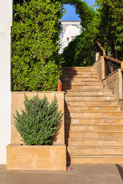 Narrow staircase ascending through lush green vegetation tropical or garden setting.