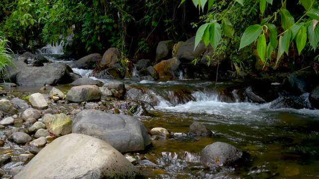 A serene mountain creek flowing between rocks, surrounded by lush forest vegetation that brings a natural sense of calm.