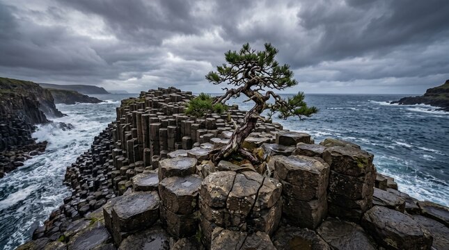 Tree Growing from Hexagonal Basalt Rock
