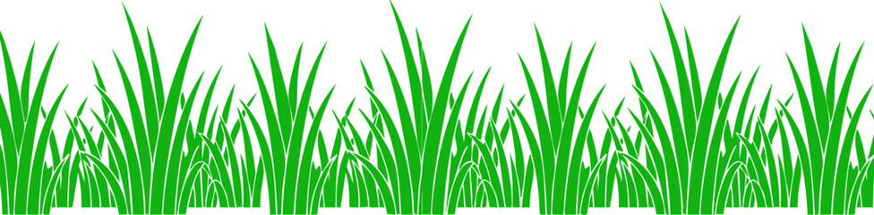 Fototapeta premium Green grass border vector with fresh meadow blades and natural lawn foliage .