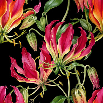 Seamless vector pattern with colorful gloriosa superba flowers isolated on a changeable background.