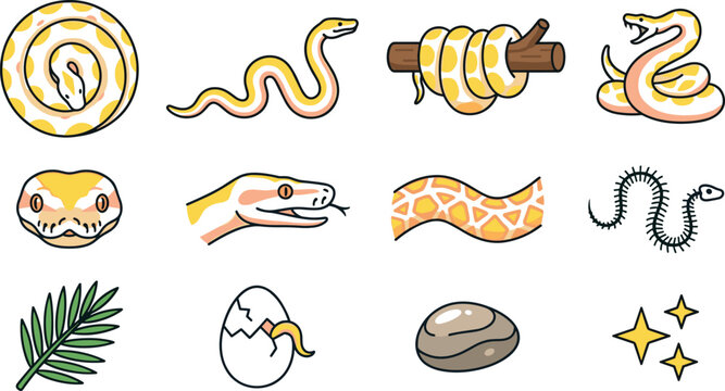 Set of Snake and Reptile Icons Featuring Python, Albino Snake, Snake Skeleton, Egg, and Tropical Leaf for Wildlife and Nature Design Projects