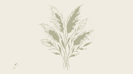 Fototapeta premium Pampas Grass botanical illustration, neutral tones, minimalist elegance