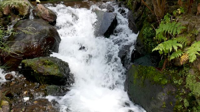 Clear mountain stream flowing rapidly over rocks, captured with a handheld camera for a natural and dynamic outdoor feel.