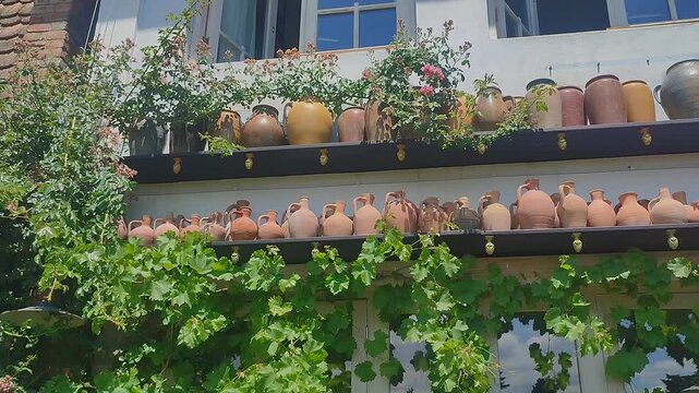 Traditional clay wine jugs and pottery jars arranged on shelves of building facade with green leaves outdoors, authentic georgian tourism landmark culture.
