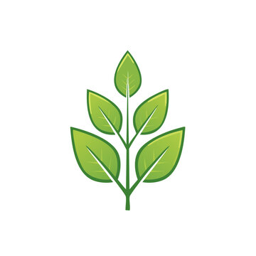 Green leaf with stem vector illustration