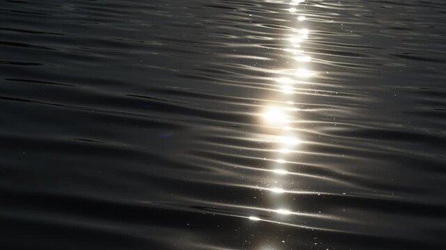 Dark Lake with Glittering Sunlight Reflection in Slow Motion