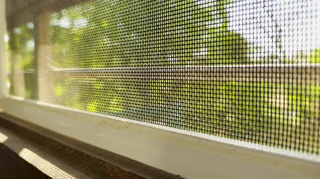 A clean window screen filters soft morning sunbeams looking out into a peaceful backyard. The blurry green trees bring a cozy, nostalgic, and calm feeling to the bright room.