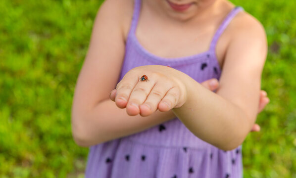 A ladybug on a child hand. Selective focus.