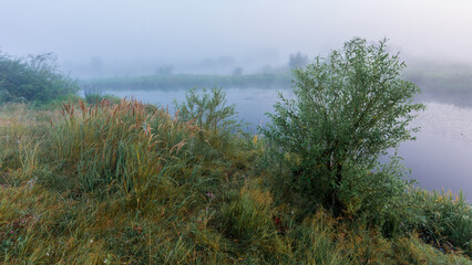 A serene landscape featuring a calm river shrouded in thick morning mist with lush green vegetation and trees lining the bank © Александр Арендарь