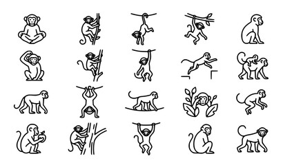 Set of monkey icons in various poses, linear vector illustrations © MDSUJON
