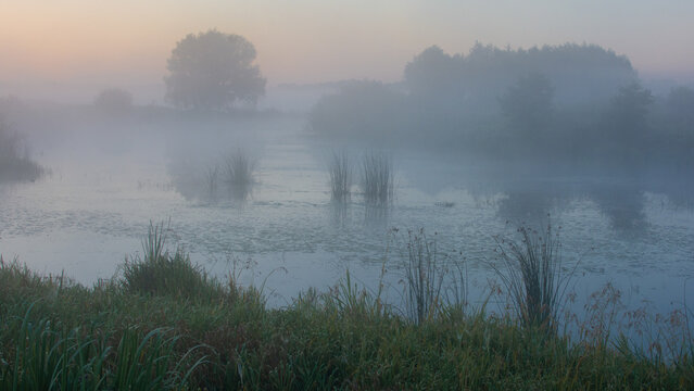 A serene, misty river landscape at dawn featuring thick fog rolling over calm waters, silhouetted trees, and lush green riverside vegetation