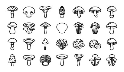 Mushroom Types and Fungi Line Icons Set - Forest Food and Nature Vector Collection © MDSUJON