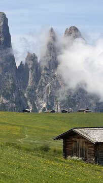 Sciliar massif with Santner and Euringer peaks rising through clouds above wildflower meadows and wooden cabins at Alpe di Siusi, Dolomites, Italy. Slow rural travel