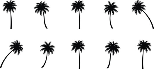 Fototapeta premium Black palm leaves minimalist
