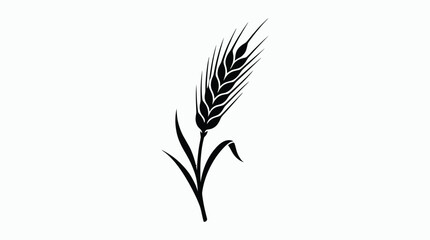 wheat stalk silhouette on transparent background black white plant grain agriculture food © Ataullah