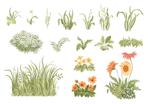 Watercolor set of flowers, grasses and plants for your design, isolated colorful collection of symbols nature, ecology or garden.