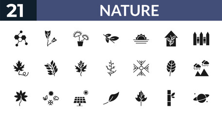 Fototapeta premium filled nature icons set - chemical structure, obcordate, carnivorous plant, bamboo sticks. editable vector for web and mobile ui