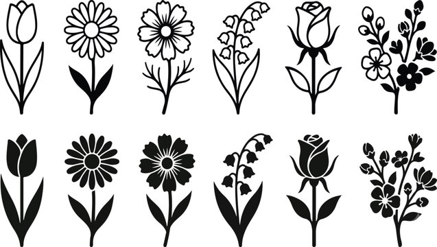Set of 10 black and white flower illustrations vector.eps
