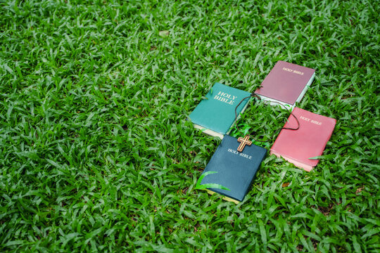 The concept of reading the Bible and praying to God for blessings, living peacefully in nature and spending time with God, with the Bible placed on the grass.