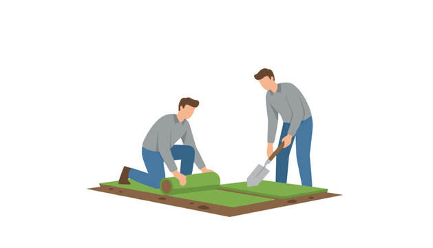 Men working together to install green grass sod rolls in a garden landscape using gardening tools for a neat residential backyard.
