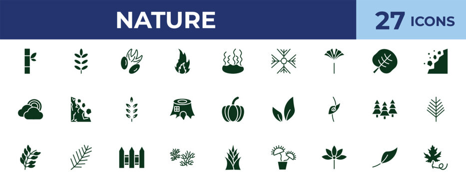 filled nature icons set - pecan leaf, reniform, tree leave, orange leaf. editable vector for web and mobile ui