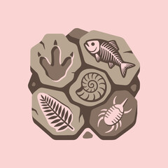 A collection of various prehistoric fossils on stone slabs © suko