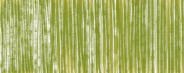 Fototapeta premium vertical straight lines in green shades for the background green texture