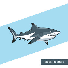 Naklejka premium A detailed vector illustration of a blacktip reef shark with distinctive black-tipped fins. Perfect for marine biology educational materials, underwater wildlife themes, and ocean posters.