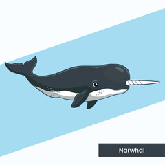 An enchanting vector illustration of a narwhal featuring its iconic spiraled tusk. Ideal for arctic wildlife educational projects, children's storybooks, and ocean animal collections. © GraphixTreasure