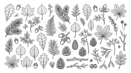 Autumn Forest Elements: Hand-Drawn Leaves, Acorns, Pinecones, and Branches © wowo