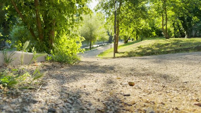 A quiet gravel path leads down into a sunny park in Simferopol, Crimea. This peaceful view inspires a sense of joy and calm freedom. Lush green trees bask beautifully in the warm morning light.