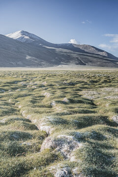 A mountain landscape featuring rocky peaks and snow-capped glaciers, with a valley containing fields, pastures of fresh green grass, and clear-water rivers&mdash;suitable for a background image