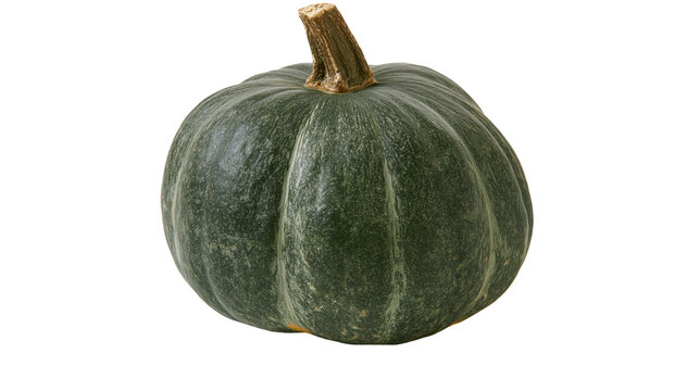 Dark green kabocha squash with textured skin, isolated on transparent background