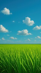 Fototapeta premium Serene sky over lush field mobile wallpaper