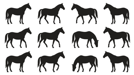 Fototapeta premium Detailed black silhouettes of horses standing and walking in various poses on a white background