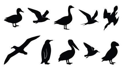 Fototapeta premium Detailed collection of diverse wild bird silhouettes isolated on a clean and bright white background