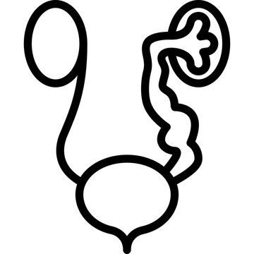 Vesicoureteral reflux. Urine flows backward from bladder into kidneys. Urinary reflux. Thin line icon. Healthcare vector illustration.