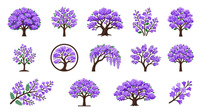 Jacaranda Tree and Flower Icon Set