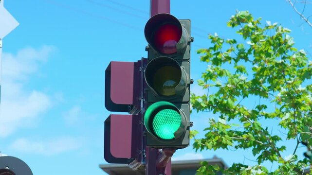 Traffic light showing green signal for go at street intersection
