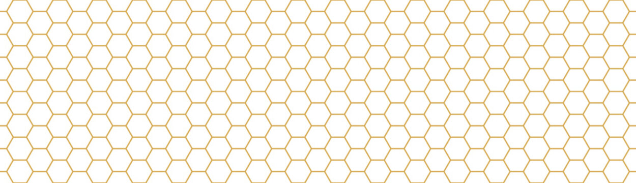 Honey hexagon bee hive yellow honeycomb pattern seamless background. Fishing or soccer net in outline style.