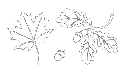 Fototapeta premium Minimalist Line Art Autumn Botanical Set with Maple Leaves and Oak Branches