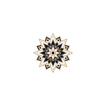 Symmetrical Geometric Star Mandala Vector