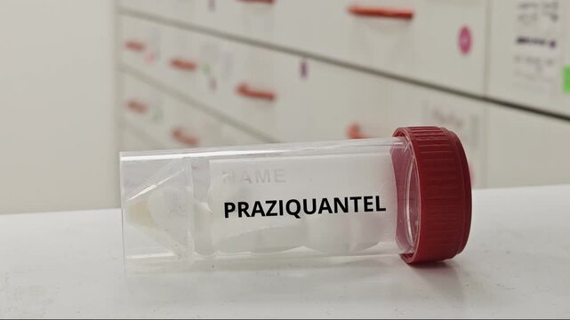 PRAZIQUANTEL anthelmintic for tapeworm and fluke infections