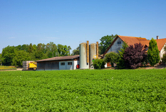 Modern agricultural farm with grain storage silos and farm buildings behind lush green crop field, advanced agribusiness and sustainable farming industry concept