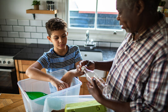 Senior man and boy sorting recycling in home kitchen