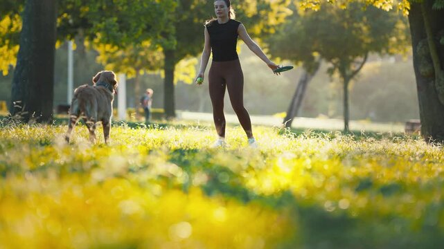 Playing fetch with a dog in a sunny park during the afternoon