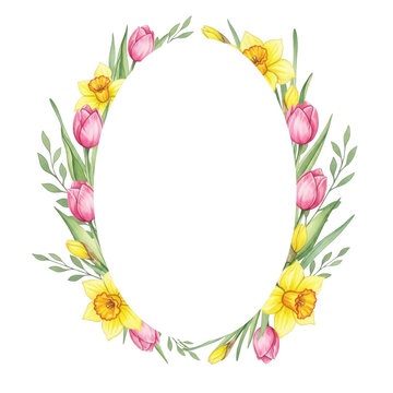 Spring floral oval frame with tulips and daffodils isolated on transparent background