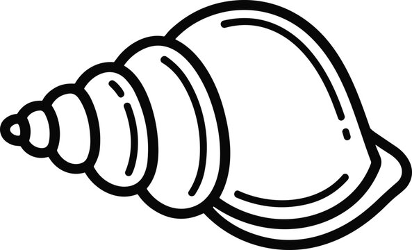 Seashell illustration - simple line drawing of a spiral conch shell