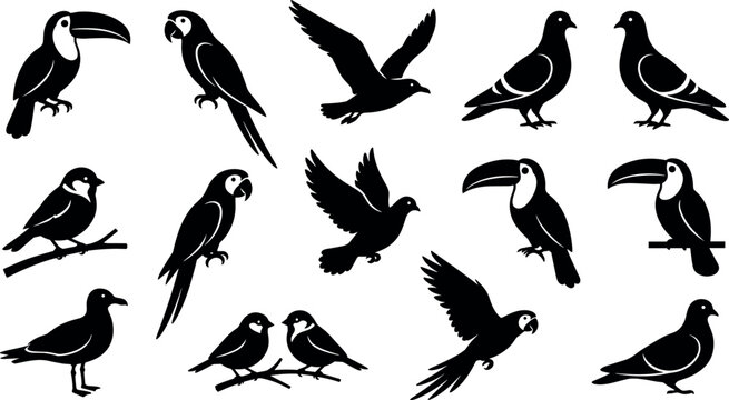 Tropical and Urban Birds Solid Black Silhouette Icon Set Featuring Parrots Toucans Pigeons Doves and Sparrows for Nature and Wildlife Vector Layouts